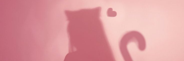 narulumi's profile banner image