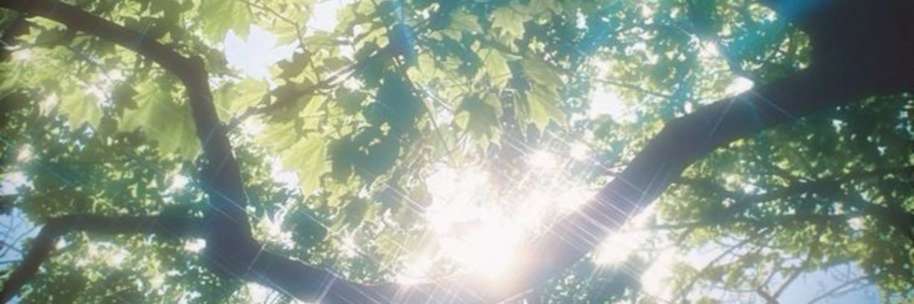 🧋 banner