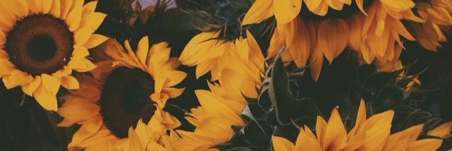 jacq_leigh's profile banner image