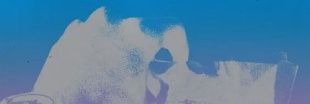 mikey's banner
