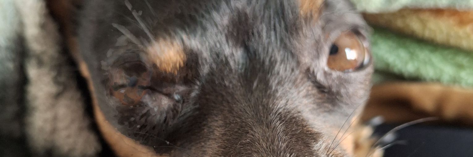 k_mlyz's profile banner image