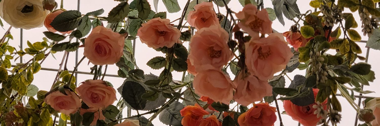 boroooming's profile banner image
