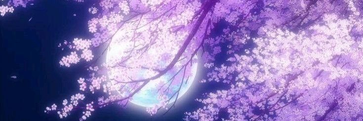 iFlawedQueen's profile banner image
