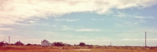 DungenessFishut Profile Banner