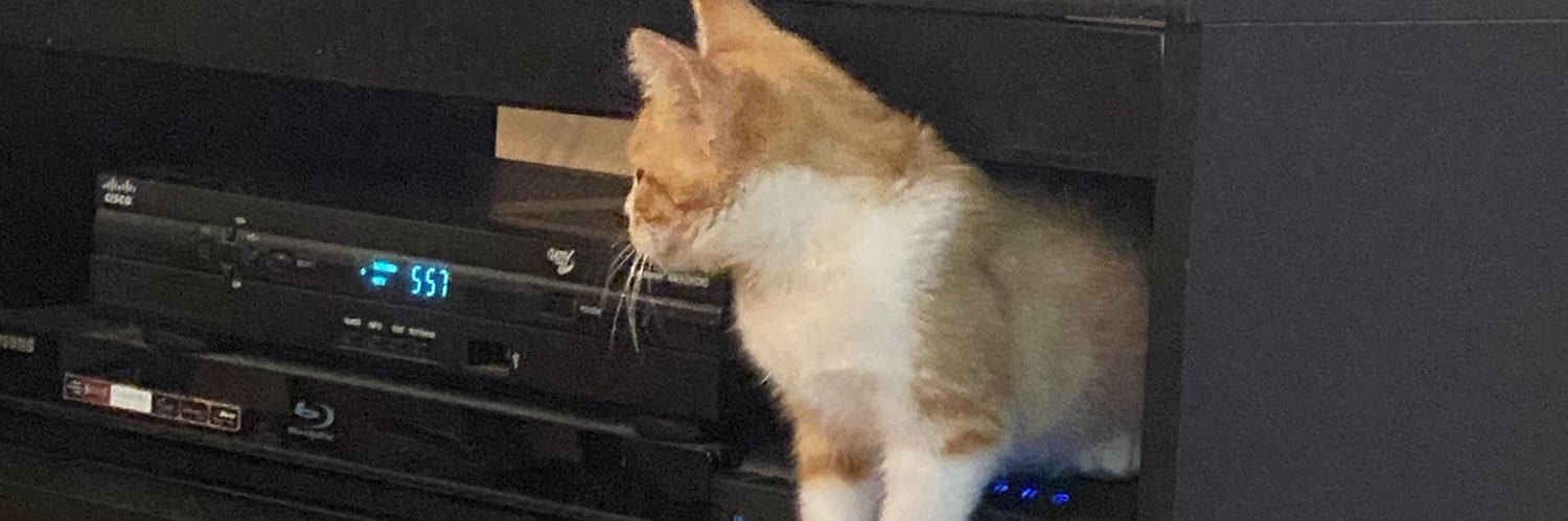 EmmaLipscomb's profile banner image