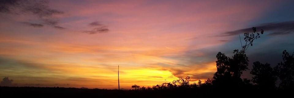 G banner