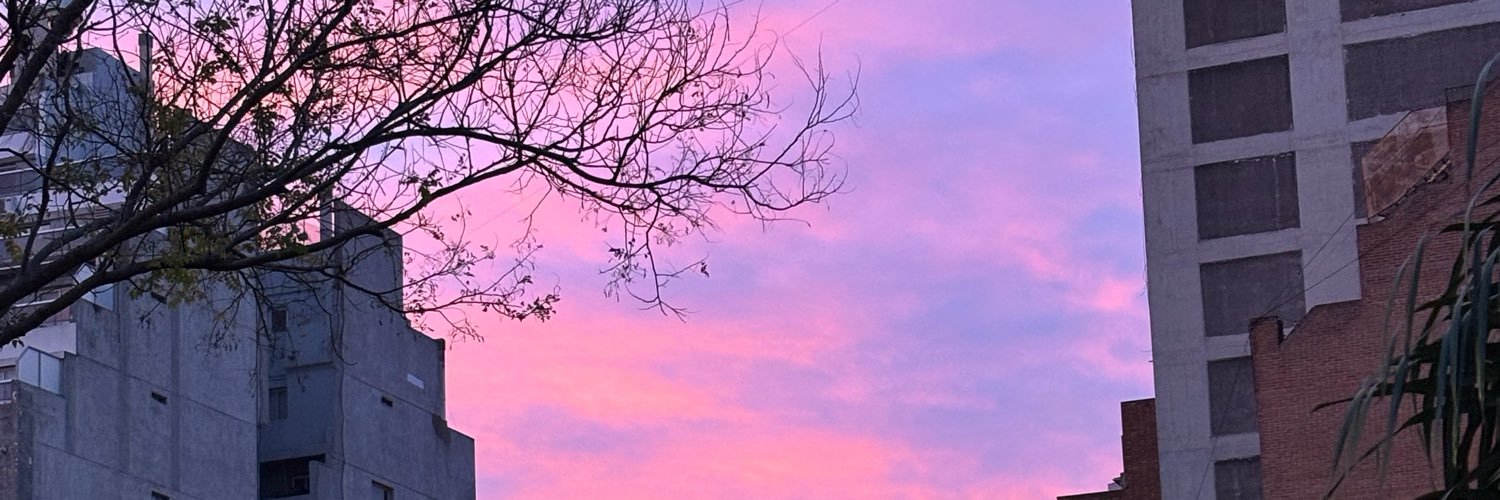 emilazzarini_'s profile banner image