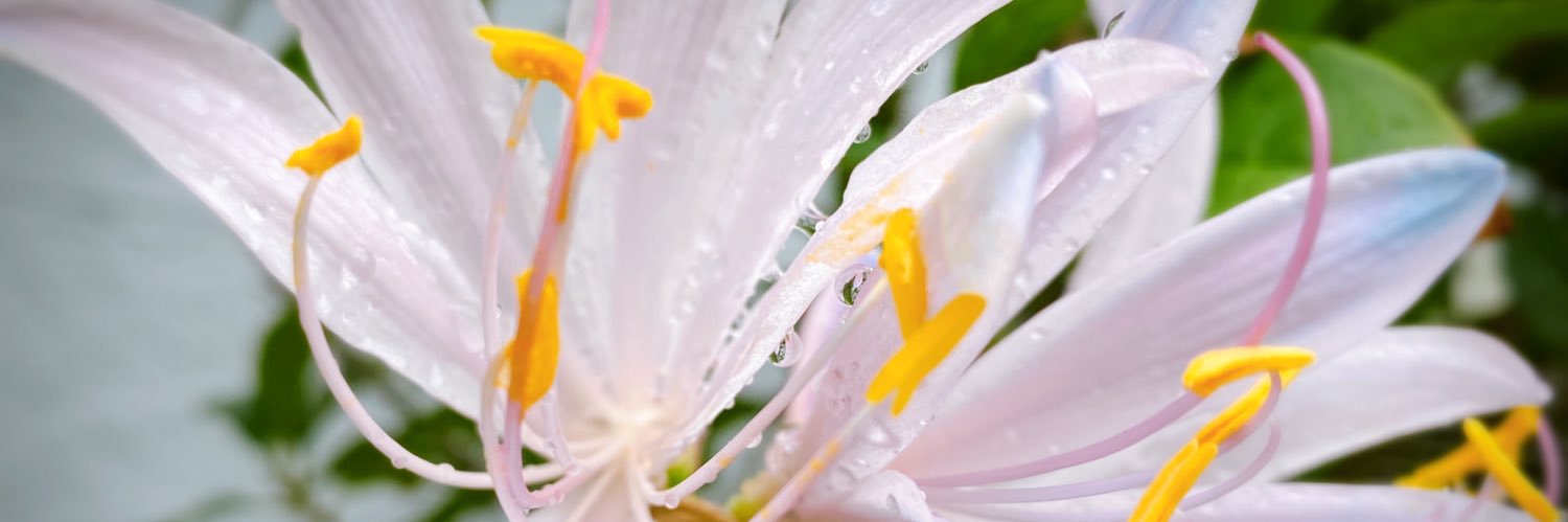 LOVEmarshmallow27💙 banner