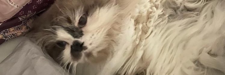 mistertotal1's profile banner image