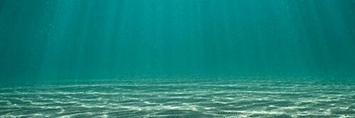 BrakoSanchez's profile banner image