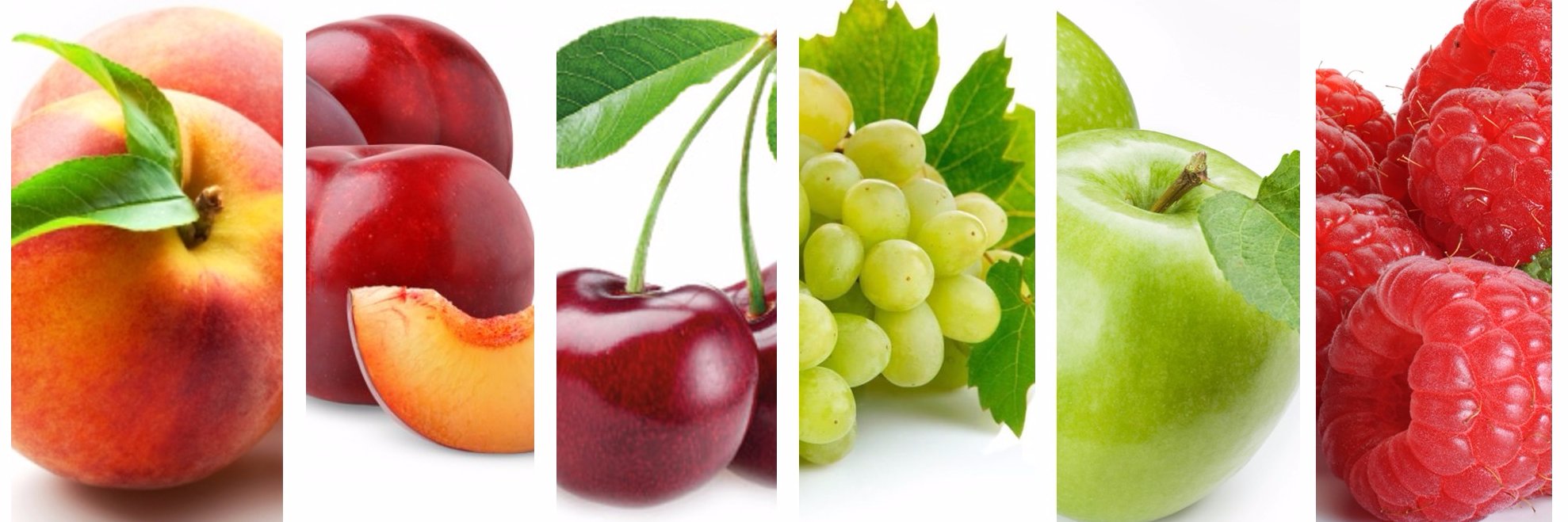 ConsorcioFruta's profile banner image