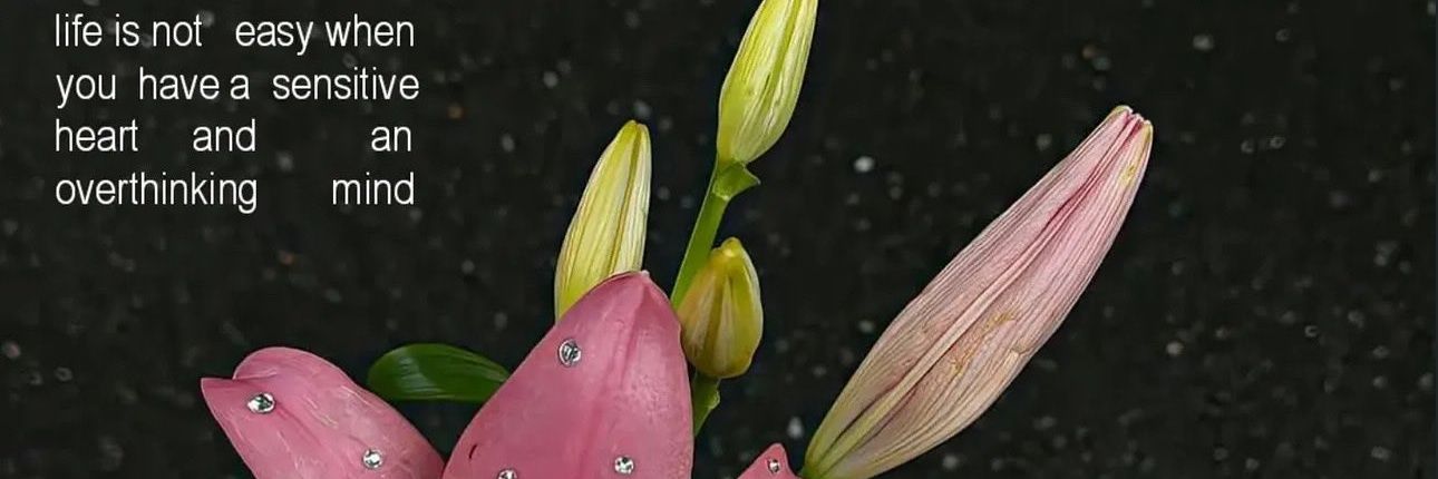 🌼Randa✨🕊 banner
