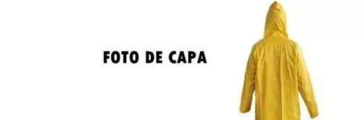 lsantosesilva's profile banner image