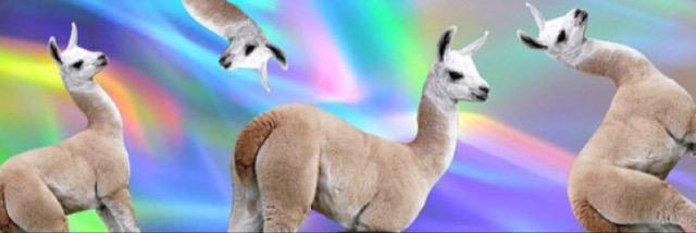 MeadJerr's profile banner image