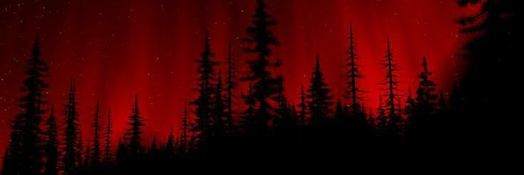 themrkim's profile banner image