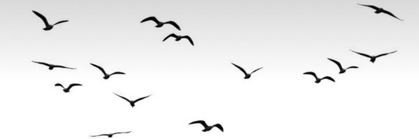 atkafasidiro Profile Banner