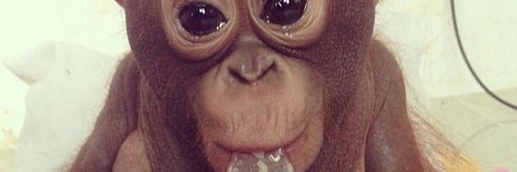 shitthyyy's profile banner image
