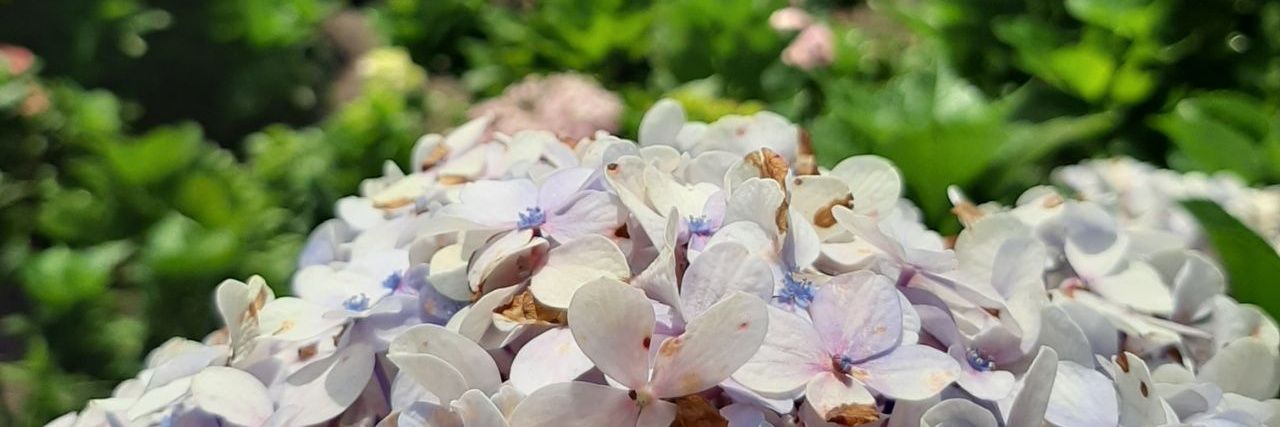 thisisayums's profile banner image