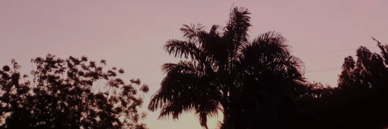 gonzagoonz's profile banner image