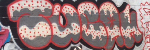 SleepySamFL's profile banner image
