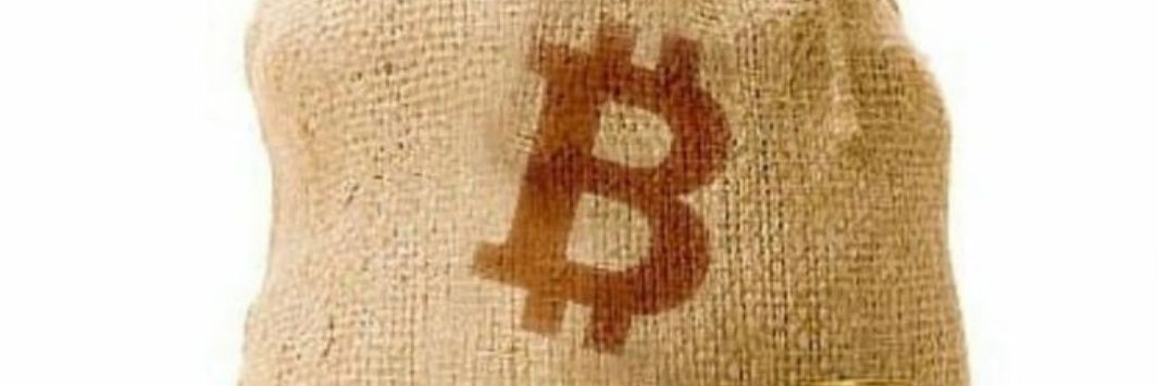 CryptoCollectorCT 🪙 banner