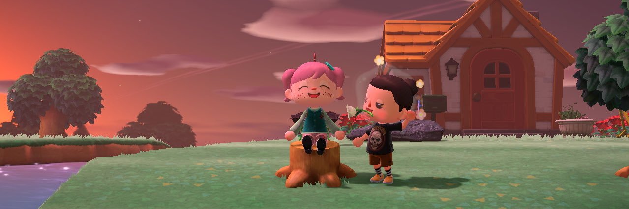 sleeepycrossing's profile banner image