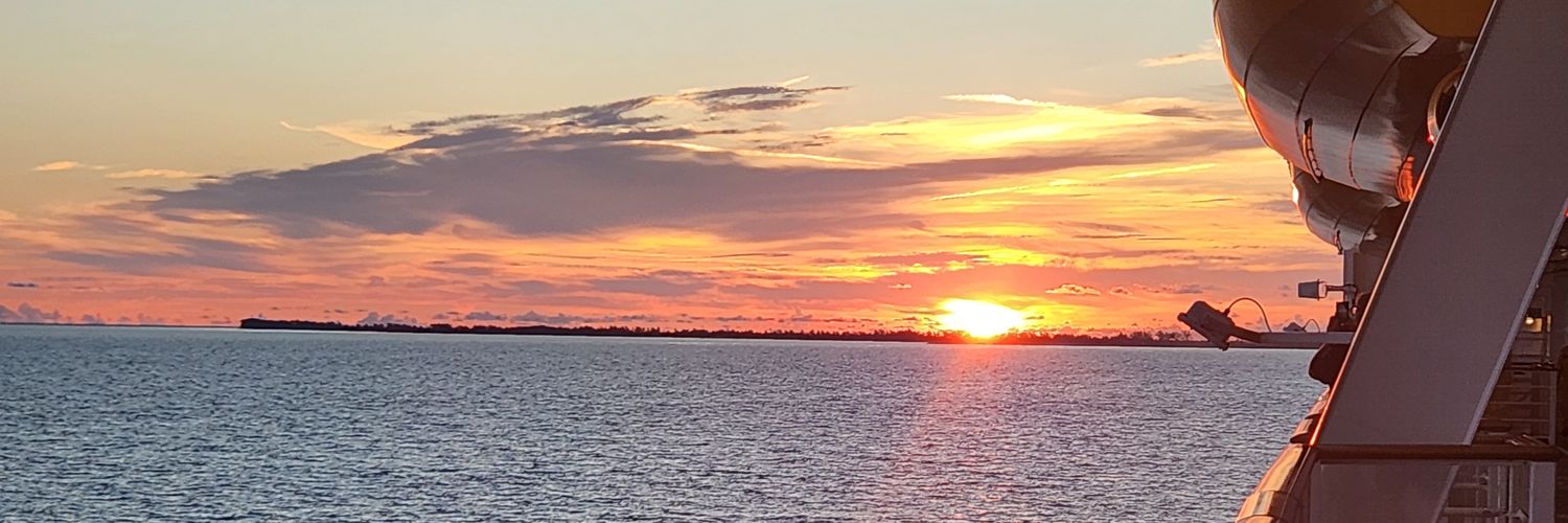 lilbink93's profile banner image
