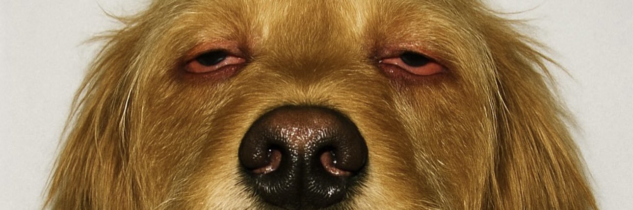 rock0utdee's profile banner image