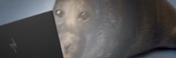 feathert3ther Profile Banner