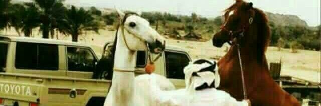 abo_MALAk53's profile banner image