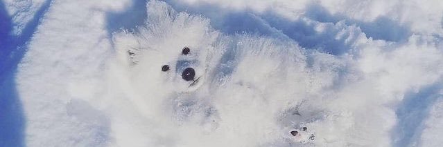 KinkyNasty's profile banner image