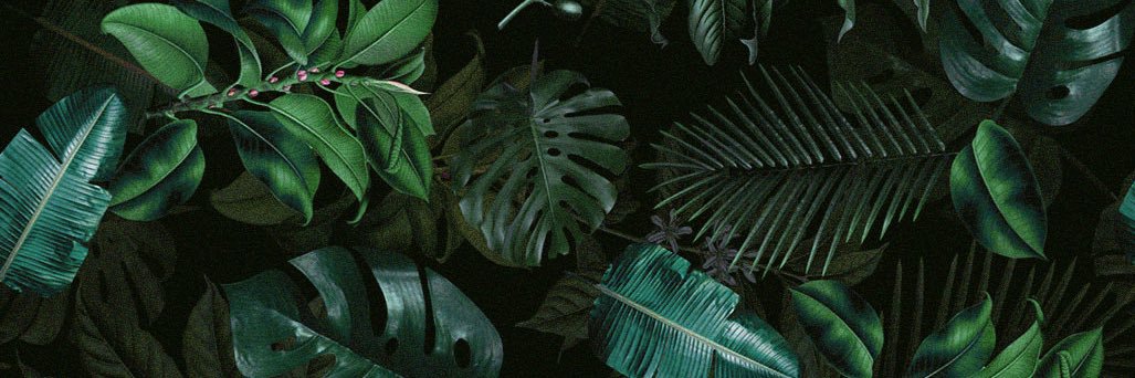 ThatBrxt.Vee banner