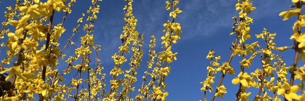 mwinkdwo Profile Banner