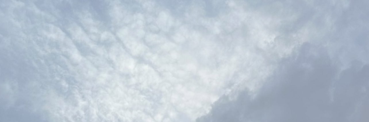فٰــ 💜🌱 banner