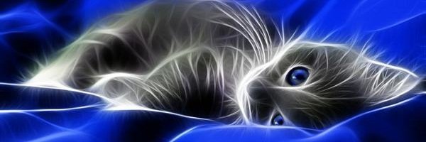 DrsCoffeeCup's profile banner image