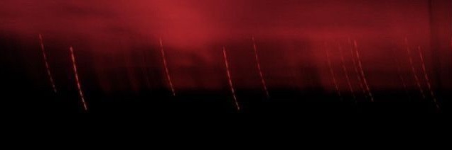 𝘉𝘶𝘤𝘬 𝘊𝘢𝘴𝘩𝘮𝘢𝘯 banner