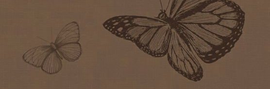 zoe banner