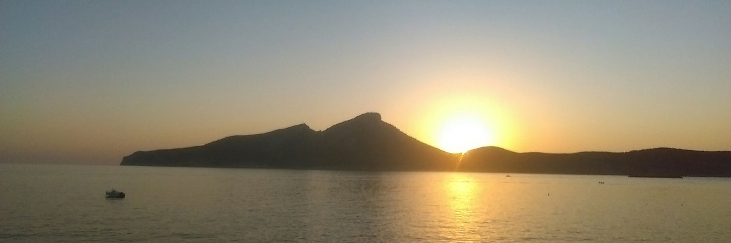 HoganDara's profile banner image