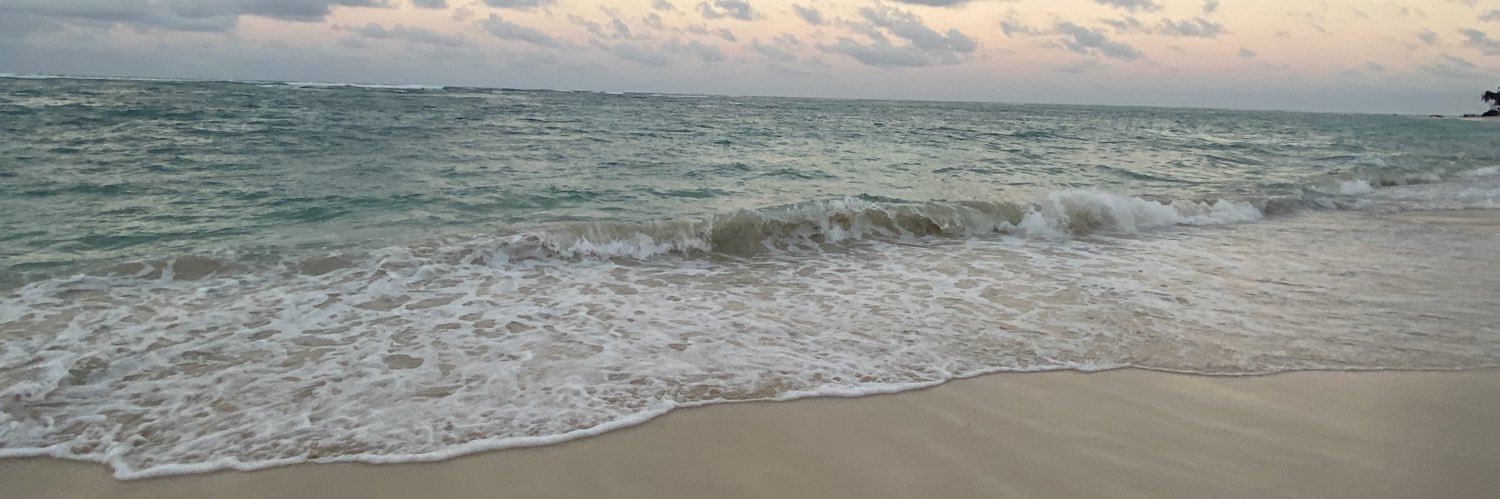 jasp0_'s profile banner image