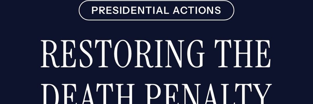 ♈Pelorus♈ banner