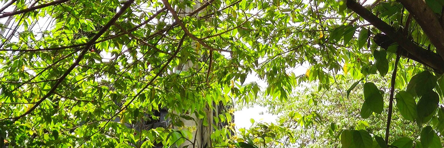 datinhdao's profile banner image
