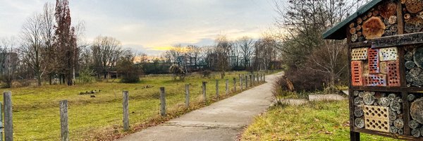 jetteniz Profile Banner