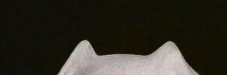 ppbb_ddqq's profile banner image