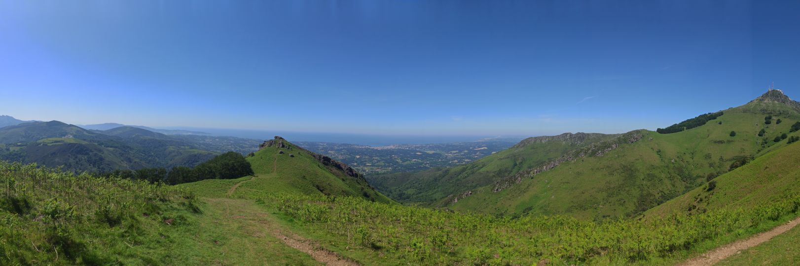 WillBernecker's profile banner image