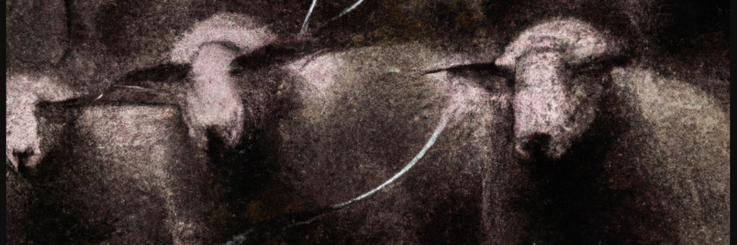 john mccurley banner