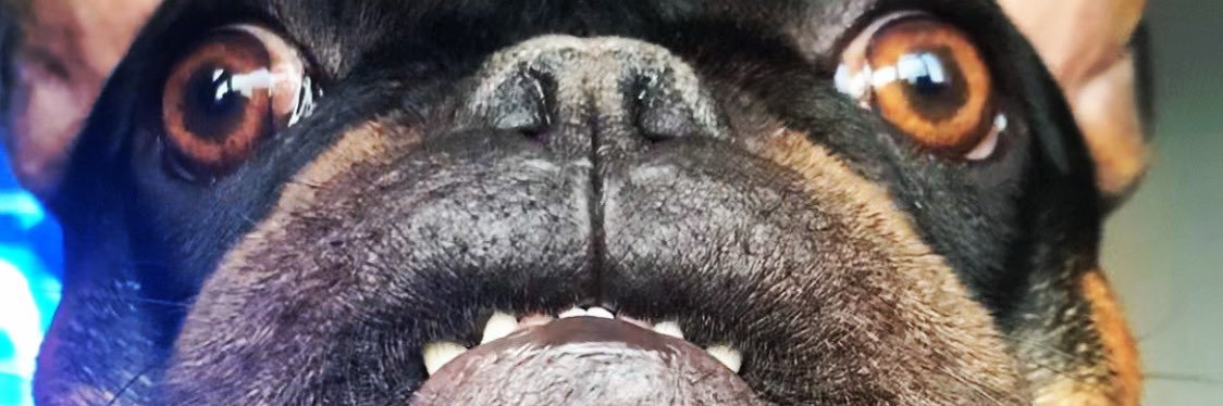 JPL13_'s profile banner image