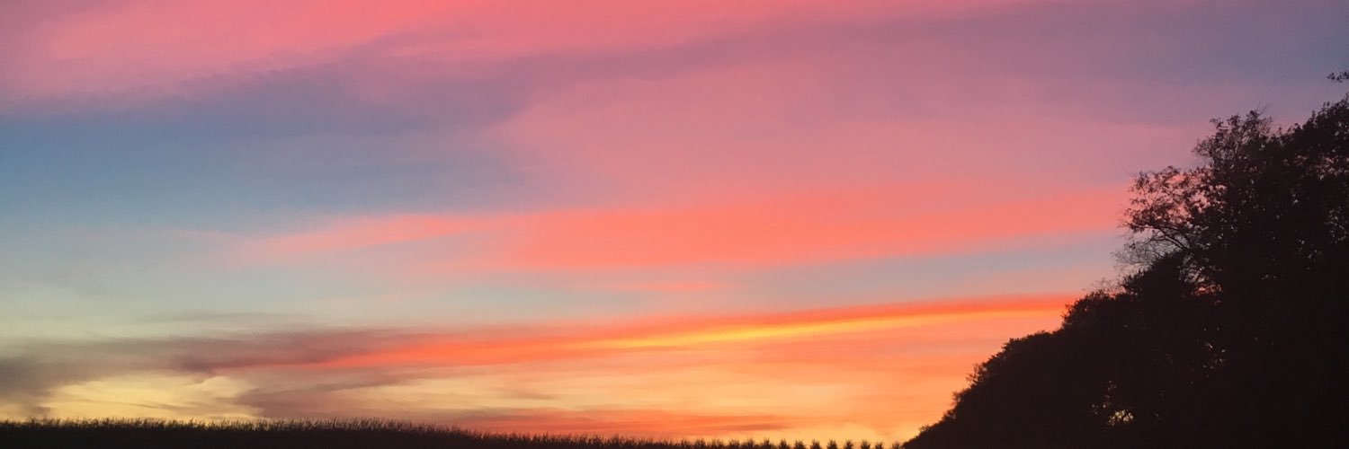 siekman_michael's profile banner image