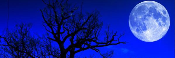 blue69moon's profile banner image