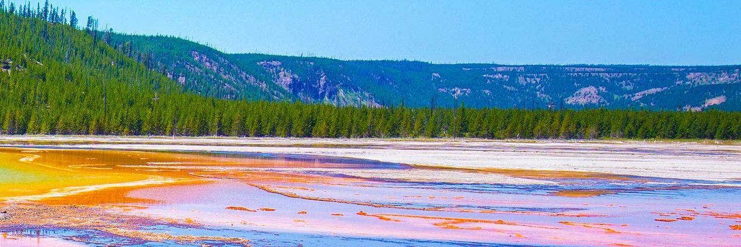 Sopapo.3 💜🟣💜 banner