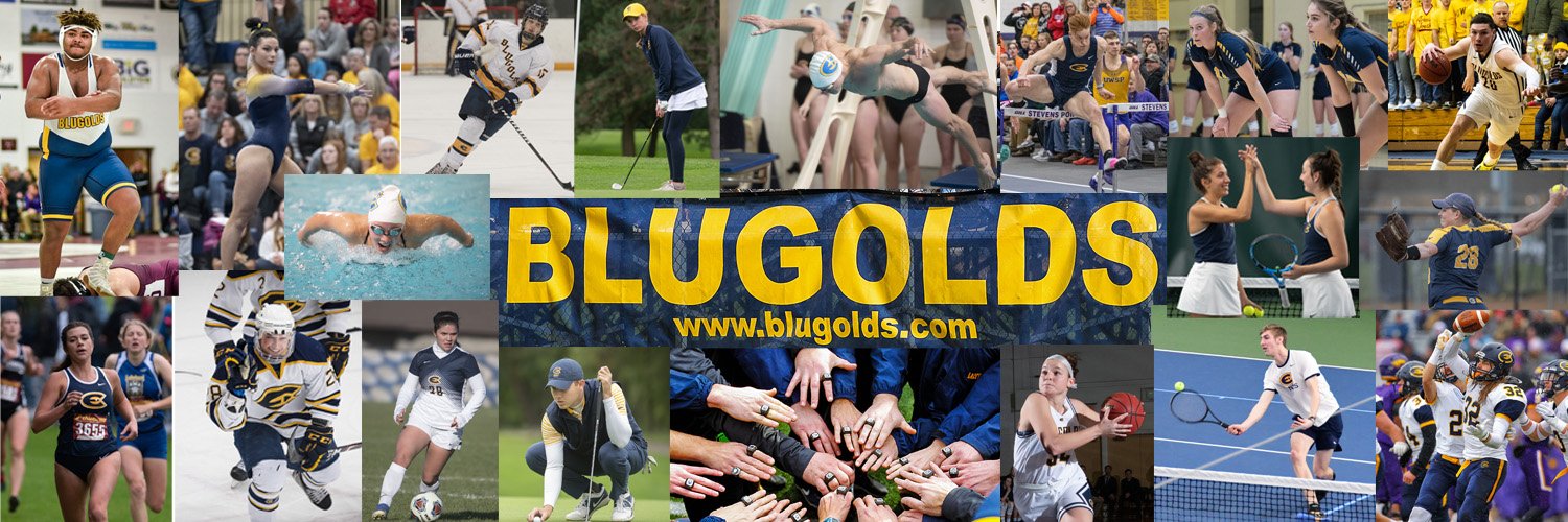 UWEC Athletics's banner